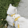 Adjustable Flower Pet Harness And Leash Set For Cats Puppies And Small Dogs 2