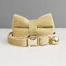 Personalized Adjustable Cat Collar With Bowknot Custom Engraved Pet Collar 10