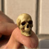 Mini Skeleton Skull Model  Realistic Halloween Miniature For Dollhouse Plants  Spooky Decor 4