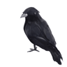 6Piece Realistic Artificial Black Crows  Halloween Raven Props For Haunted House  Party Decor 5