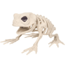 Halloween Skeleton Animal Decorations  Simulated Wolf Frog  Crow Skeleton Props For Indoor  Outdoor 2