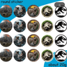 Jurassic Dinosaur Party Tableware Set With Plates Cups And Napkins 8