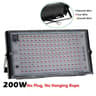 Full Spectrum LED Grow Light Bulb 50W 100W 300W Indoor Plant Grow Lamp For Healthy Growth 3