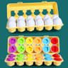 Montessori Matching Eggs Sensory Color And Shape Sorting Toy For Kids 5