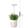LED Grow Light Full Spectrum Adjustable Indoor Plant Ring Light With Timer 2
