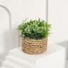 Artificial Eucalyptus Potted Plant Mini Indoor Greenery Home Decor 2