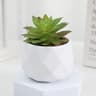 Artificial Succulent Bonsai Mini Plant Realistic Fake Greenery Desk Decor 8