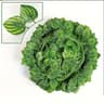 Artificial Ivy Garland Hanging Vine Decoration Fake Ivy Leaves For Wall Decor 5