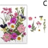 Natural Dried Flowers For Resin Jewelry Nail Art And Craft Decoration 3
