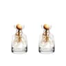 Avocado Seed Starter Glass Vase Set Hydroponic Growing Kit 2