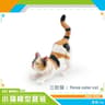 Cute Orange Cat Figurine Mini Animal Desk Decoration Ornament 11
