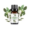 Fruit Scented Essential Oil For Diffuser Candle Soap Making 1