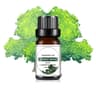Fruit Scented Essential Oil For Diffuser Candle Soap Making 14