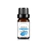 Fruit Scented Essential Oil For Diffuser Candle Soap Making 15