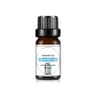 Fruit Scented Essential Oil For Diffuser Candle Soap Making 20