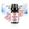 Fruit Scented Essential Oil For Diffuser Candle Soap Making 28