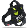 ComfortFit Adjustable Nylon Dog Harness With Custom Name ID 13