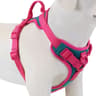 Luxury No Pull Dog Harness Adjustable Personalized Chest Strap For Small And Large Dogs 6