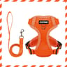 Breathable Reflective Pet Harness And Leash Set For Small And Medium Dogs And Cats 3