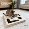Interactive Cat Tunnel Scratch Box Toy With Bell Ball 2