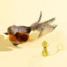 Interactive Bird Cat Teaser Toy With Catnip And Hanging Feather For Kittens 2