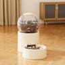 Large Capacity Automatic Pet Feeder And Leakproof Water Dispenser With Elevated Bowl 3