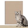 DIY Self Adhesive Cat Scratch Board Carpet Sofa Protector For Walls And Furniture 4