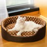 Cozy Plush Cat Cave Bed Indoor Pet Sleeping Basket Mat For Cats And Small Dogs 1