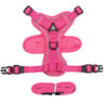 Adjustable Reflective Cat Harness And Leash Set 2