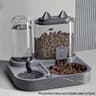 Large 2 In 1 Pet Feeder And Water Dispenser 1