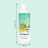 Gentle Mild Cat Shampoo For Moisturizing Deodorizing And Soft Shiny Fur Care 1