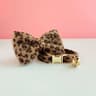 Personalized Leopard Print Cat Collar With Bell For Kittens Puppies And Small Pets 6