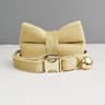 Personalized Velvet Cat Collar With Engraved Name Plate Bell And Bow Tie 14