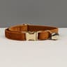 Personalized Velvet Cat Collar With Engraved Name Plate Bell And Bow Tie 2