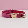 Personalized Velvet Cat Collar With Name Plate Bell And Bow Tie 1