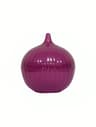 Plastic Fresh Keeping Box For Fruit Vegetable Onion And Garlic Storage 5