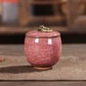 Mini Ceramic Storage Jar For Tea Coffee Sugar And Kitchen Decor 12