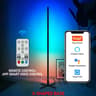 Smart RGBIC Floor Lamp With Tuya App Remote And Music Sync 4