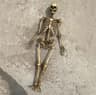Realistic Mini Skeleton Skull Dollhouse Decor 4