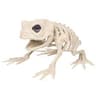 Realistic Skeleton Wolf Halloween Animal Prop 2