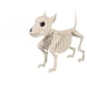 Realistic Skeleton Wolf Halloween Animal Prop 3