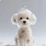 Transparent Pet Hair Memorial Keychain 11