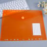 Colorful A4 Transparent Ring Binder Document Wallet 1