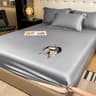 Mulberry Silk Fitted Sheet Soft Elastic Silk Mattress Cover 9