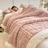 Thick Coral Fleece Winter Blanket Soft Lamb Wool Sofa Throw 5