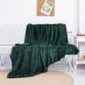 Christmas Green Fleece Throw Blanket With Pom Fringe 2