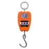 LoadCheck 200kg Crane Scale And Digital Hanging Scale 2