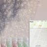 5D Frangipani Nail Stickers Colorful Lily Flower Romantic Manicure Decals 26