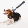 Dog Halloween Costume Bloodstain Pet Cosplay Costume Accessory Set For Cats  Dogs 5