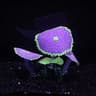GlowintheDark Silicone Aquarium Coral With Suction Cup Luminous Fish Tank Decoration 2
